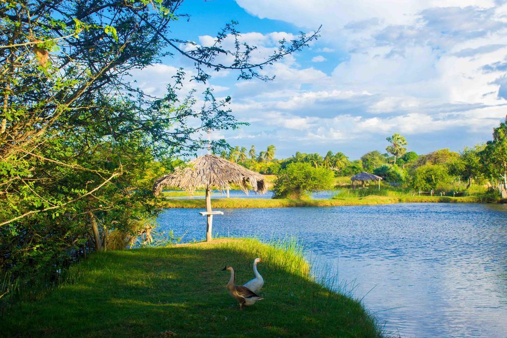 Delta Park Hotel Parnaiba Bagian luar foto